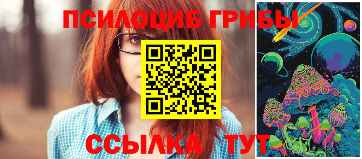 Псилоцибиновые грибы Psilocybe Владимир