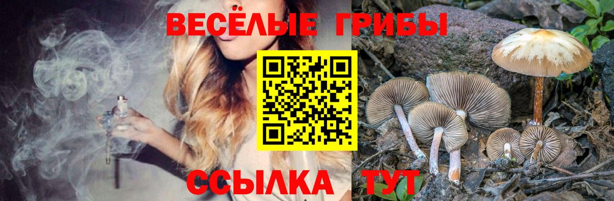 Галлюциногенные грибы MAGIC MUSHROOMS  Галлюциногенные грибы Psilocybine cubensis  Вход с VPN  Владимир 