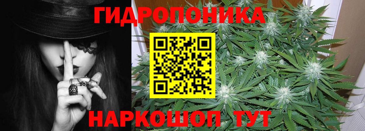 Конопля Bruce Banner Владимир